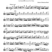 Allegro assai - from Brandenburg Concerto #2 in F Major - Part 2 Viola