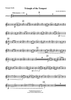 Triangle of the Tempest - Trumpet 2 in Bb