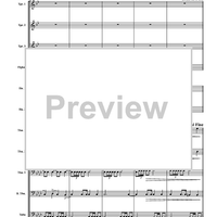 Trauermarsche, Op. 55 - Score