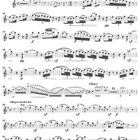 Robert Bruce (Fantasy for Flute and Piano), Op. 95 - Flute