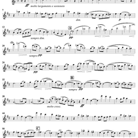 String Quartet in D Major - Violin 1