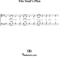 The Soul's Plea