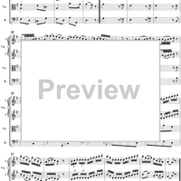 Symphony (No. 47) in D Major, K97 - Full Score