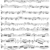 Violin Concerto No. 2 - Violin