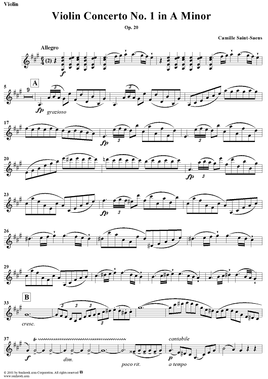 Violin Concerto No. 1 in A Minor, Op.20 - Violin