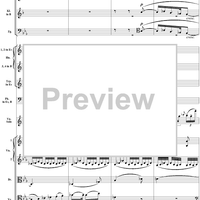 Violin Concerto No. 1, Movement 2 - Score