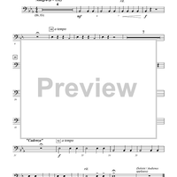 Concerto for Two Hands - Timpani