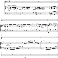 Concertino No. 3 in E Minor - Score