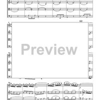 The Violin Concerti - Score