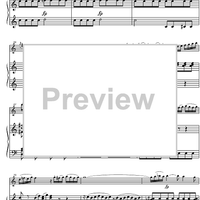 Concerto C Major KV314 - Score