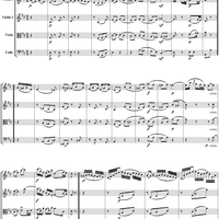 String Quartet No. 18, Movement 3 - Score