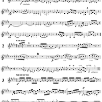 Serenata No. 3 in E Major - Violin 2