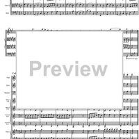 Divertimento No. 2 D Major KV131 - Score