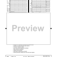 Ruminations - Score