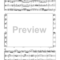 The Violin Concerti - Score