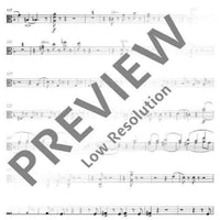 Concert-Allegro mit Introduction D minor - Viola
