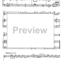 Sonata quasi una rapsodia - Score