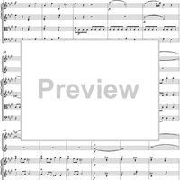 Symphony No. 29 in A Major, Movement 1 - Full Score