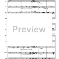 Trauermarsche, Op. 55 - Score