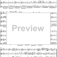 Brandenburg Concerto No. 2: Andante - Score