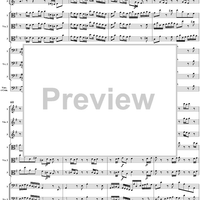 Brandenburg Concerto No. 3: Movement 1 - Score