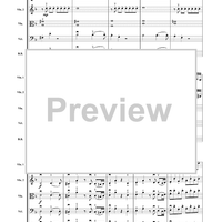 Sinfonia in D Minor - First Movement - Score