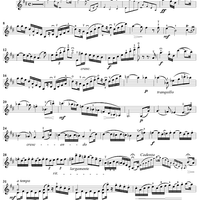 Student's Concerto No. 1 in D Major, "First to Seventh Position" - Violin