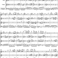 Brandenburg Concerto No. 2: Andante - Score