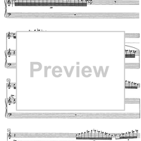 Sonata quasi una rapsodia - Score