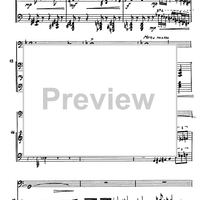 Impromptu Op.79 No.20 - Score