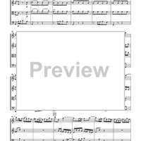 The Violin Concerti - Score