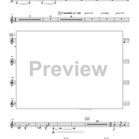 Backstage Pass - Bb Contrabass Clarinet