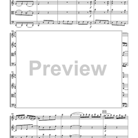 The Violin Concerti - Score