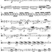 String Quartet in D Minor - Viola