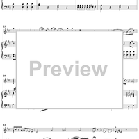Violin Sonata No. 14 in D Major, K29 - Piano Score