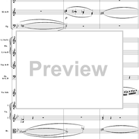 Violin Concerto No. 1, Movement 1 - Score