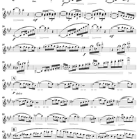 Violin Concerto No. 14 - Violin