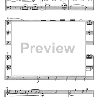 Danses de Zaira - Score