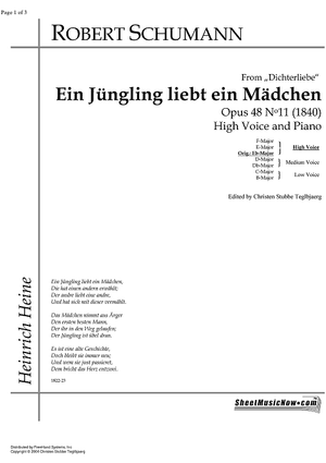 Ein Jüngling liebt ein Mädchen Op.48 No.11