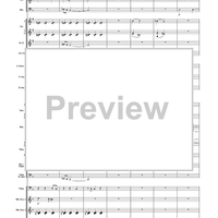 Unknown (Medium Level Version) - Score