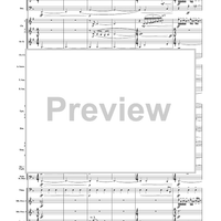 Unknown (Medium Level Version) - Score