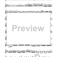 Brandenburg Concerto No. 2 - Violin 1