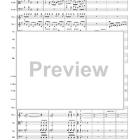 Irish Junkyard Jam for string quartet and string orchestra - Score