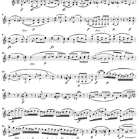 Violin Duet No. 14 in C Major, Op. 153 - Violin 2