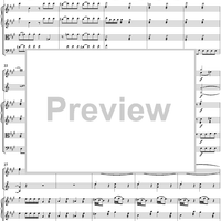 Symphony No. 29 in A Major, Movement 1 - Full Score