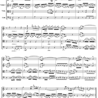 Divertimento No. 3, Movement 2 - Score