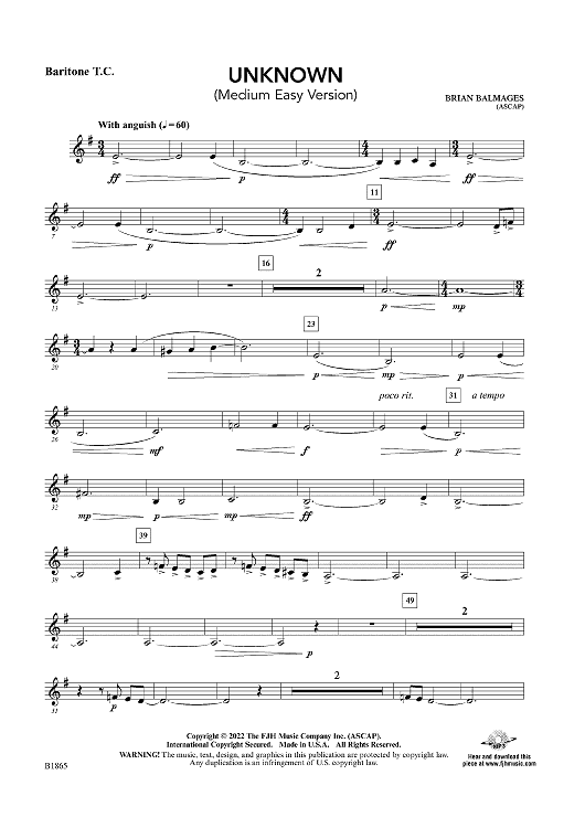 Unknown (Medium Easy Version) - Baritone TC