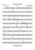 Troopers' Tribunal - Percussion 2