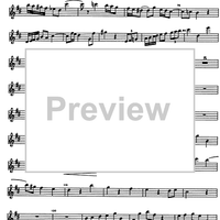Sonatina Op. 60 - Flute