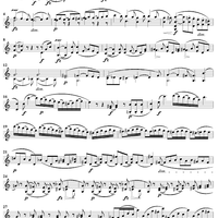 Violin Duet No. 14 in C Major, Op. 153 - Violin 1